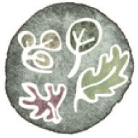 Coaching functional nutrition for gut health