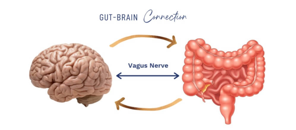 Strengthen Your Gut-Brain Connection:  Activate Your Vagus Nerve for Constipation Relief