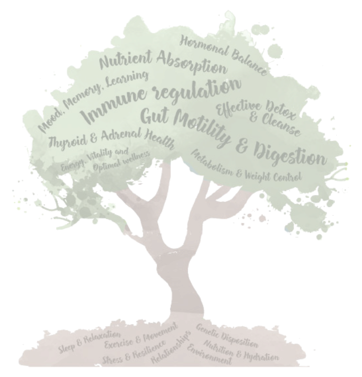 Tree Infographic-guthealth gut health nutrition support