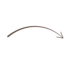 Website Banner (250 x 237 px) gut health nutrition support